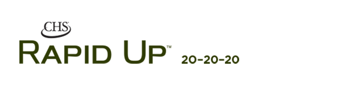 Rapid Up 20-20-20 logo