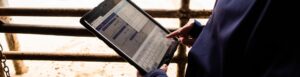 person typing on tablet
