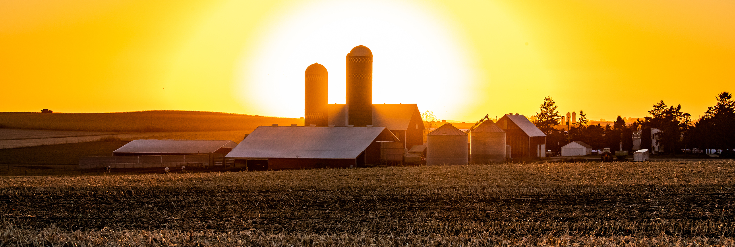 Beautiful farm at sunset