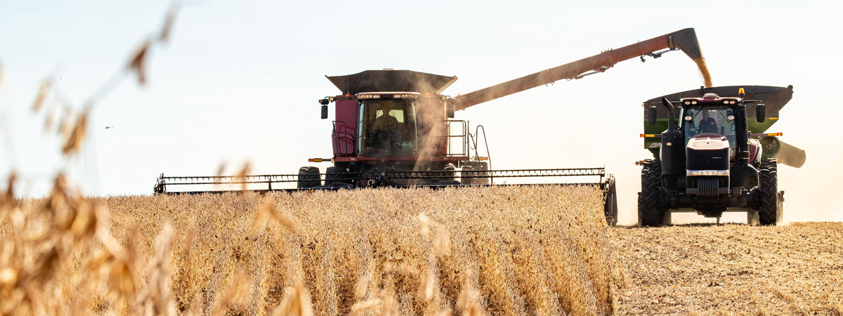 Combine harvesting in a field next to a grain cart